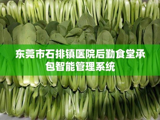 东莞市石排镇医院后勤食堂承包智能管理系统