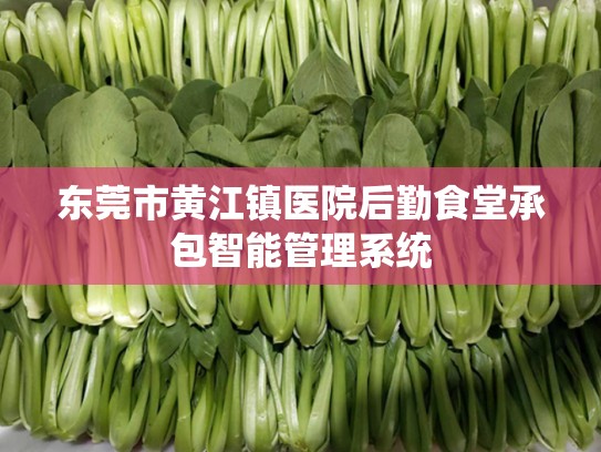 东莞市黄江镇医院后勤食堂承包智能管理系统