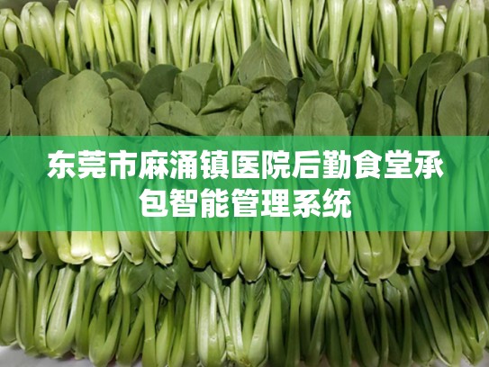 东莞市麻涌镇医院后勤食堂承包智能管理系统