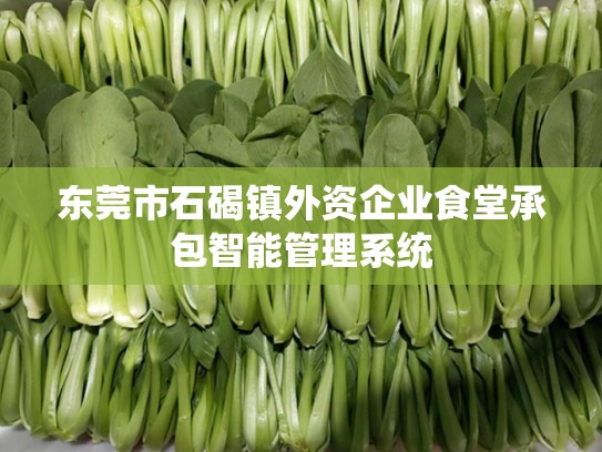 东莞市石碣镇外资企业食堂承包智能管理系统