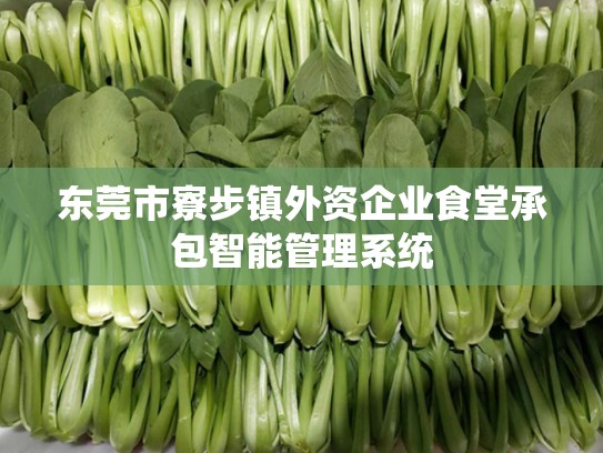 东莞市寮步镇外资企业食堂承包智能管理系统