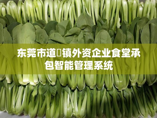 东莞市道滘镇外资企业食堂承包智能管理系统