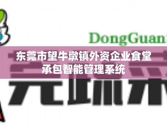 东莞市望牛墩镇外资企业食堂承包智能管理系统