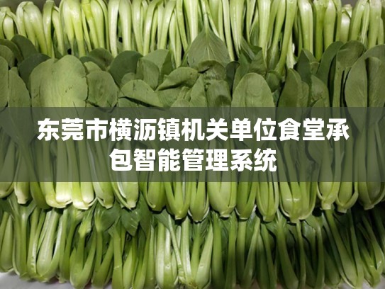 东莞市横沥镇机关单位食堂承包智能管理系统