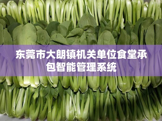 东莞市大朗镇机关单位食堂承包智能管理系统