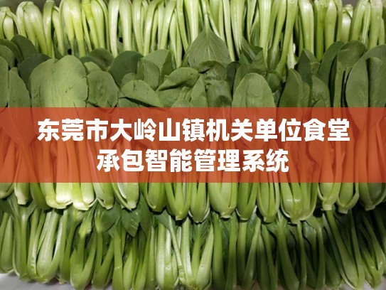 东莞市大岭山镇机关单位食堂承包智能管理系统