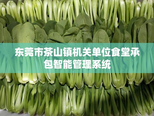 东莞市茶山镇机关单位食堂承包智能管理系统