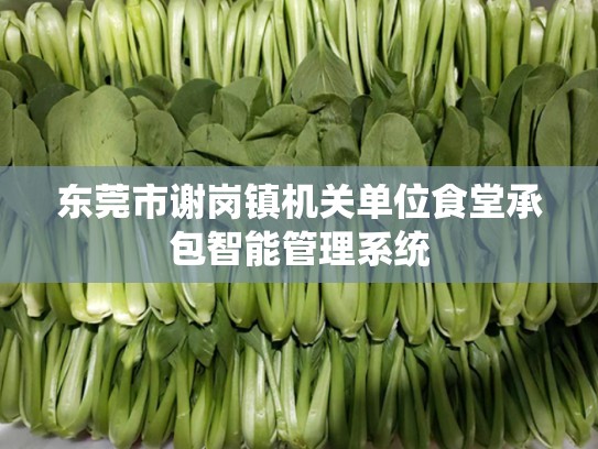 东莞市谢岗镇机关单位食堂承包智能管理系统