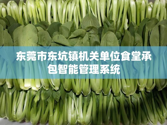 东莞市东坑镇机关单位食堂承包智能管理系统