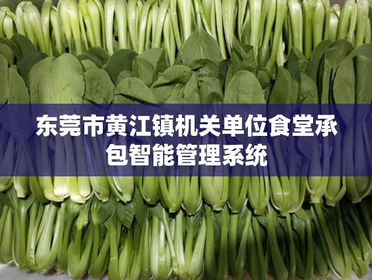 东莞市黄江镇机关单位食堂承包智能管理系统