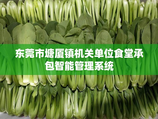 东莞市塘厦镇机关单位食堂承包智能管理系统