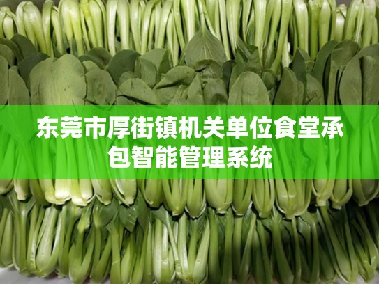 东莞市厚街镇机关单位食堂承包智能管理系统