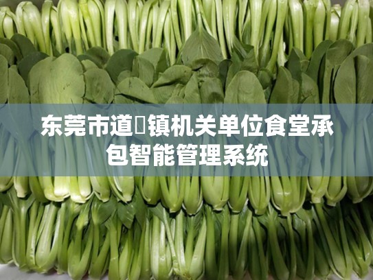 东莞市道滘镇机关单位食堂承包智能管理系统