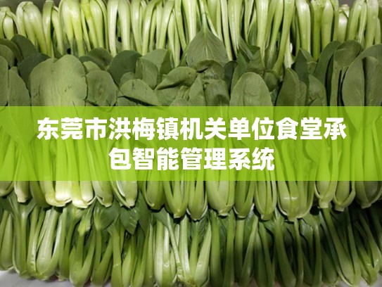 东莞市洪梅镇机关单位食堂承包智能管理系统