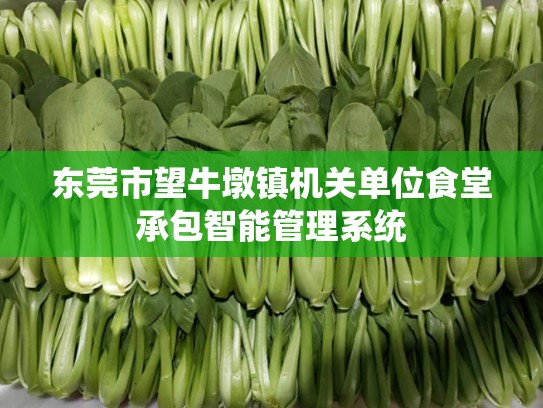 东莞市望牛墩镇机关单位食堂承包智能管理系统