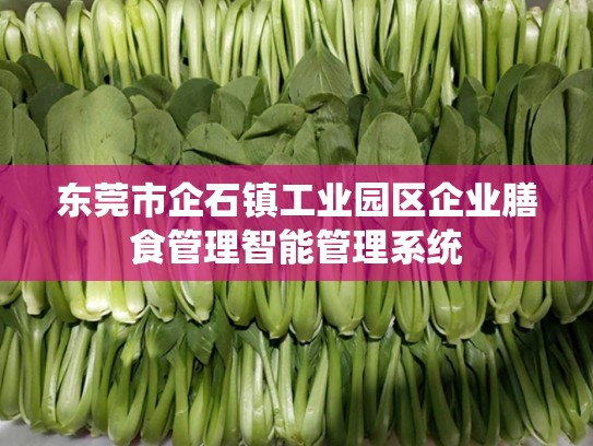 东莞市企石镇工业园区企业膳食管理智能管理系统