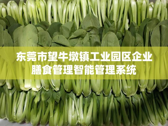 东莞市望牛墩镇工业园区企业膳食管理智能管理系统
