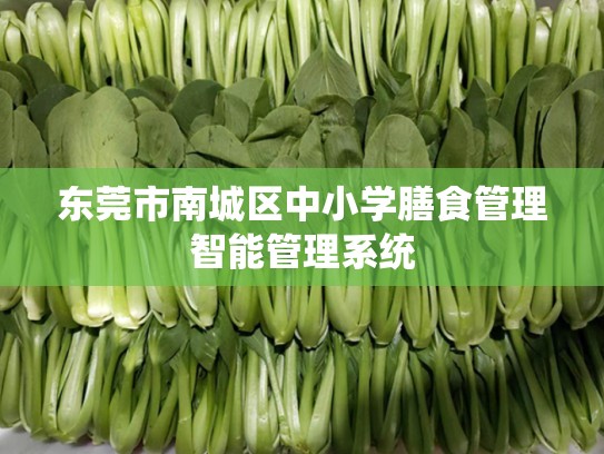 东莞市南城区中小学膳食管理智能管理系统