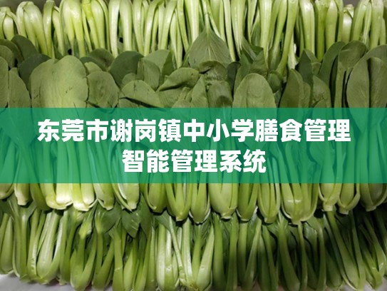 东莞市谢岗镇中小学膳食管理智能管理系统