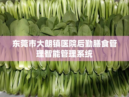 东莞市大朗镇医院后勤膳食管理智能管理系统