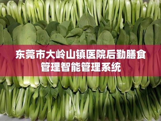 东莞市大岭山镇医院后勤膳食管理智能管理系统