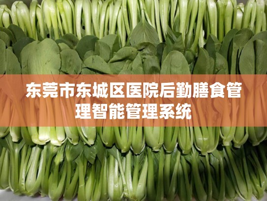 东莞市东城区医院后勤膳食管理智能管理系统
