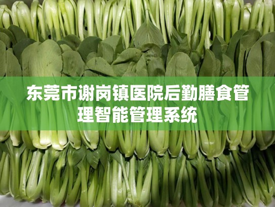 东莞市谢岗镇医院后勤膳食管理智能管理系统