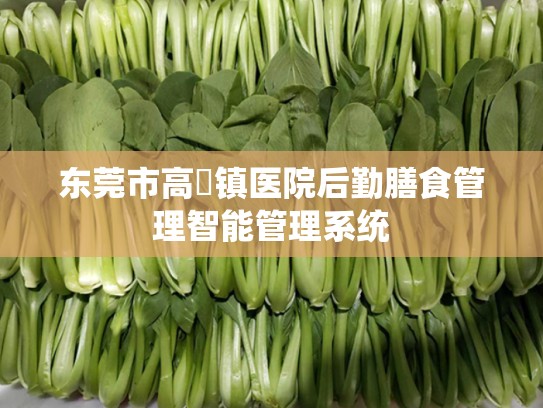 东莞市高埗镇医院后勤膳食管理智能管理系统