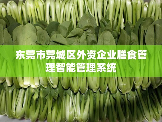 东莞市莞城区外资企业膳食管理智能管理系统