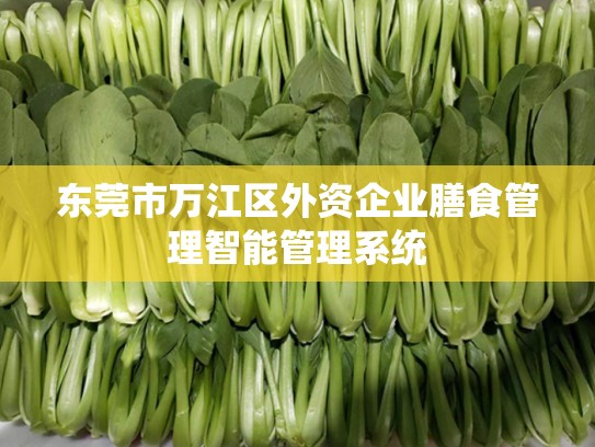 东莞市万江区外资企业膳食管理智能管理系统
