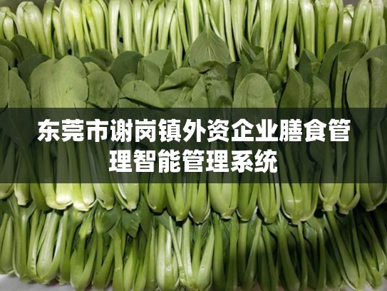 东莞市谢岗镇外资企业膳食管理智能管理系统