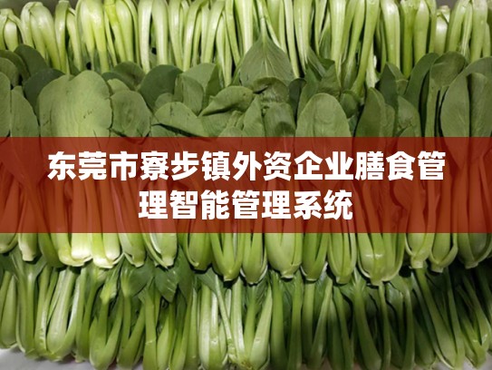 东莞市寮步镇外资企业膳食管理智能管理系统