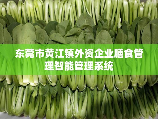 东莞市黄江镇外资企业膳食管理智能管理系统