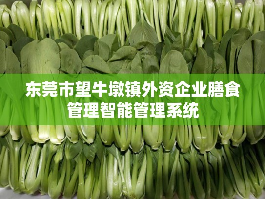 东莞市望牛墩镇外资企业膳食管理智能管理系统