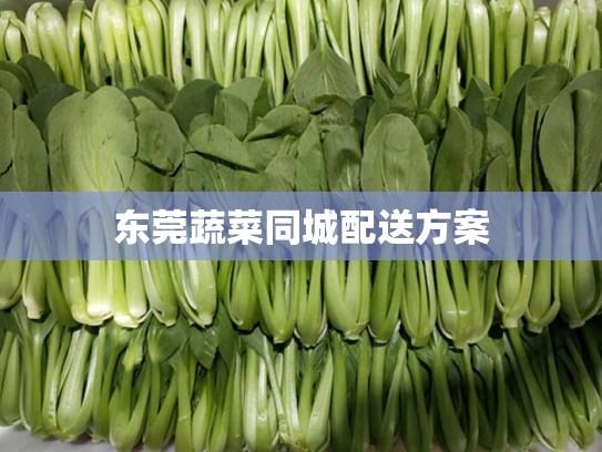 东莞蔬菜同城配送方案