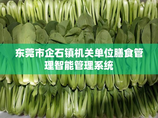 东莞市企石镇机关单位膳食管理智能管理系统