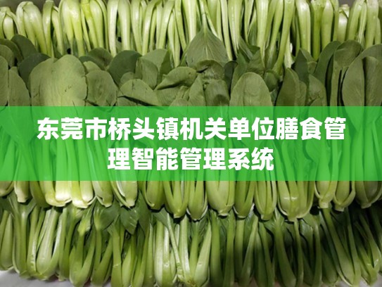 东莞市桥头镇机关单位膳食管理智能管理系统
