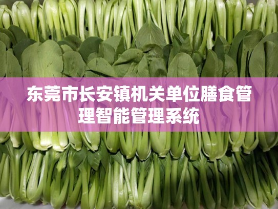 东莞市长安镇机关单位膳食管理智能管理系统