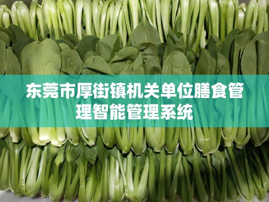 东莞市厚街镇机关单位膳食管理智能管理系统