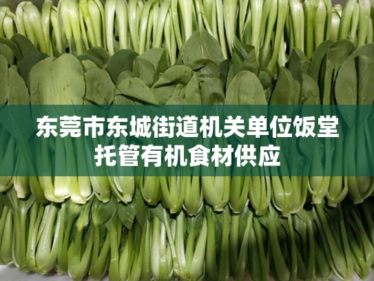 东莞市东城街道机关单位饭堂托管有机食材供应