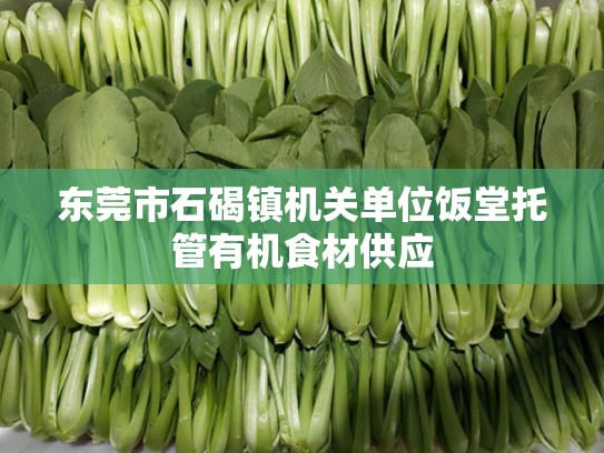 东莞市石碣镇机关单位饭堂托管有机食材供应