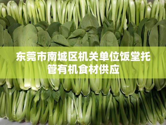 东莞市南城区机关单位饭堂托管有机食材供应