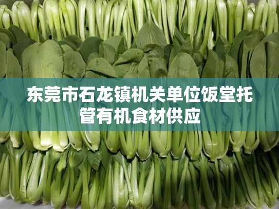 东莞市石龙镇机关单位饭堂托管有机食材供应