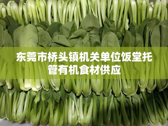 东莞市桥头镇机关单位饭堂托管有机食材供应