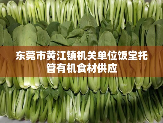 东莞市黄江镇机关单位饭堂托管有机食材供应