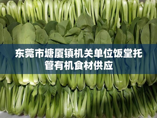 东莞市塘厦镇机关单位饭堂托管有机食材供应