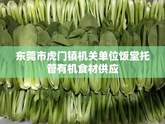 东莞市虎门镇机关单位饭堂托管有机食材供应