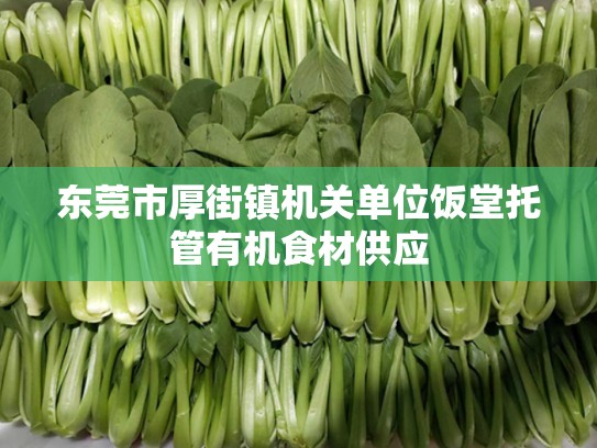东莞市厚街镇机关单位饭堂托管有机食材供应