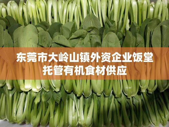 东莞市大岭山镇外资企业饭堂托管有机食材供应