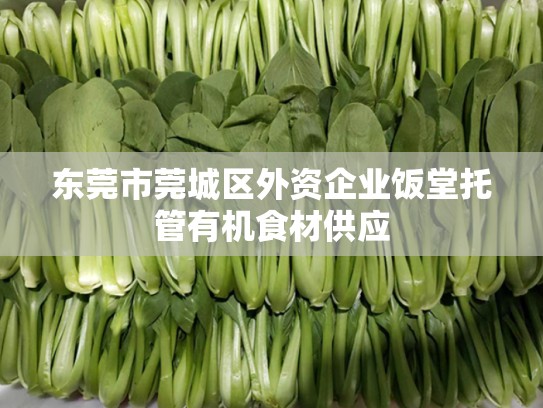 东莞市莞城区外资企业饭堂托管有机食材供应
